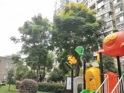 衢州世纪天成房价