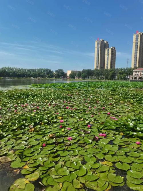 丰泽家园房价