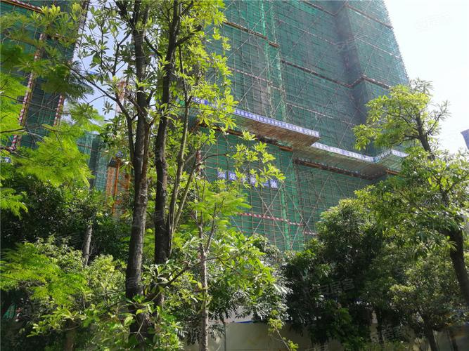 碧湖印象楼盘