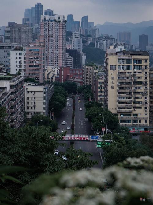 重庆森林楼盘