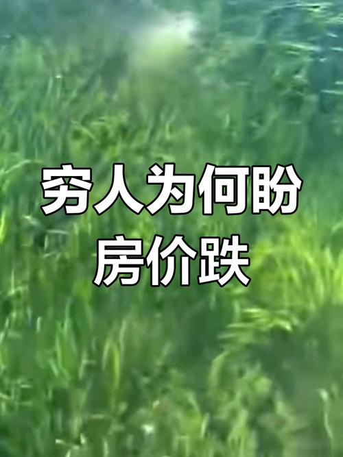 高房价有利穷人