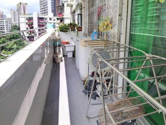 金羊花园地址