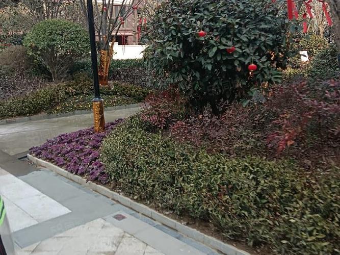 沈丘阳光花园地址