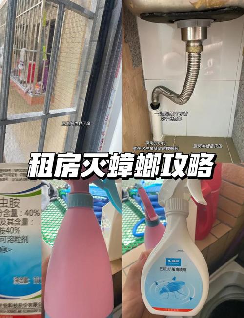 租房有虫子怎么办