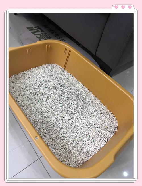 租房猫砂盆怎么放