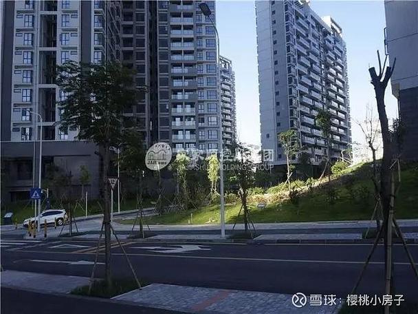 深圳鸿福花园最新处理