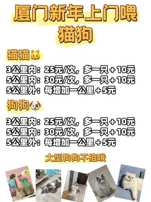 一猫一狗怎么租房