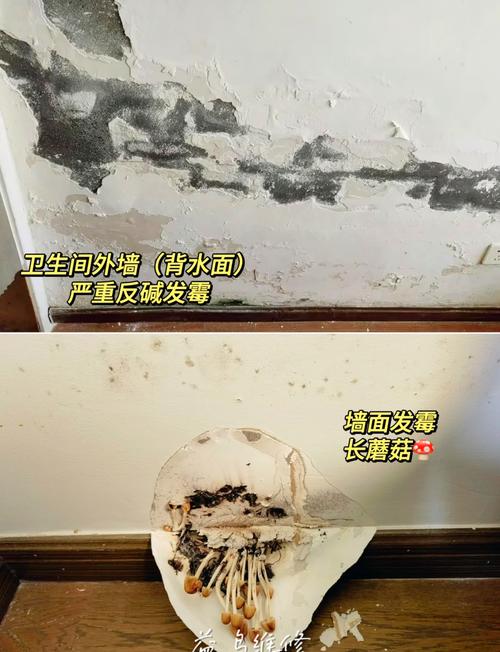租房发霉的墙怎么处理
