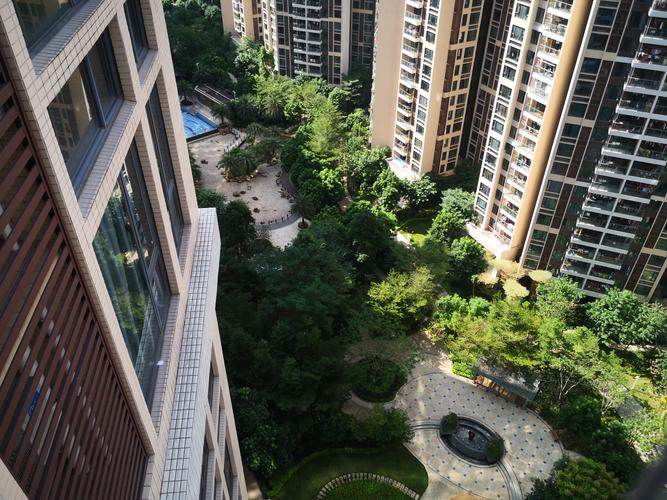 港逸花园价格暴跌