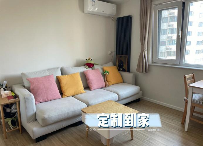 租房养猫沙发怎么办