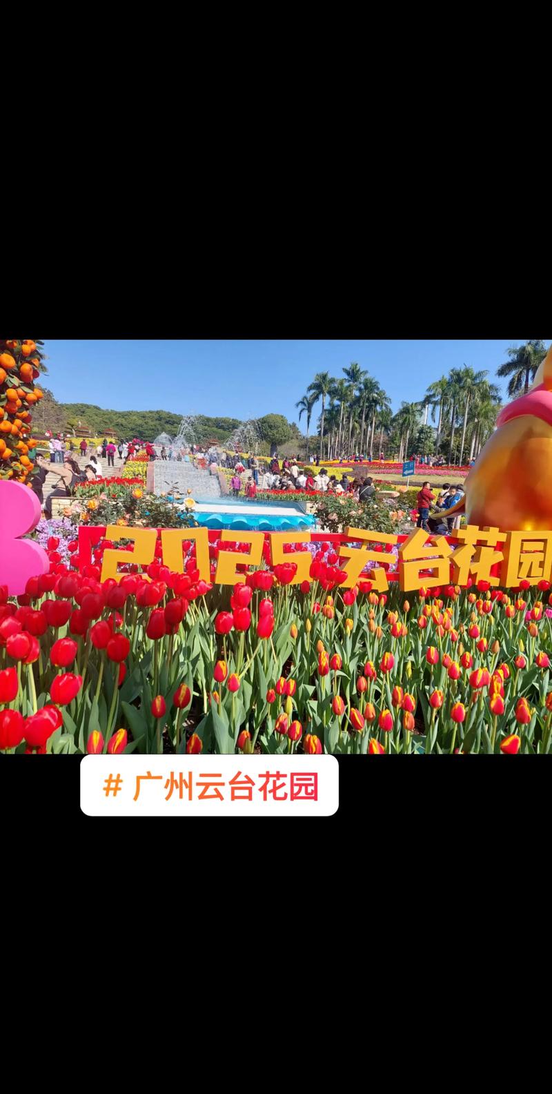 岗顶到云台花园