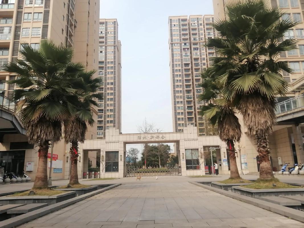湖南津市楼盘