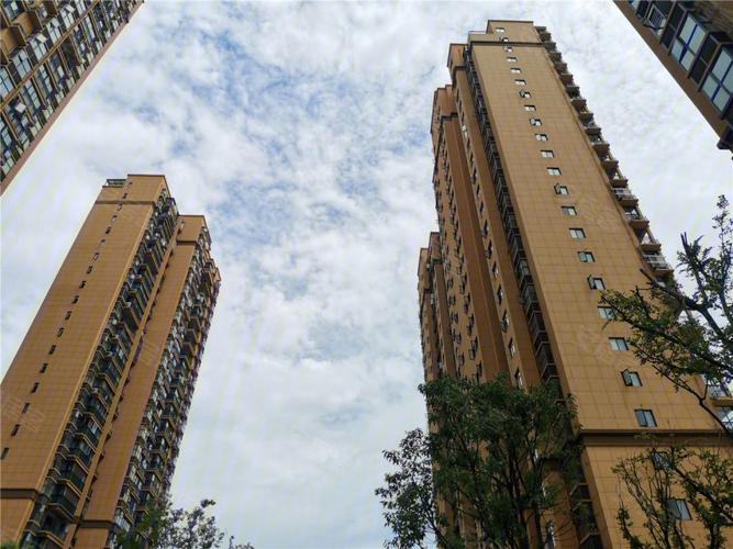 湖南津市楼盘