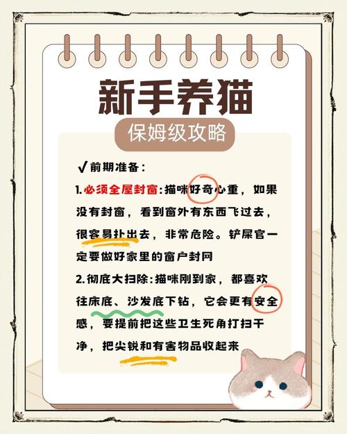 租房养猫怎么保护墙面