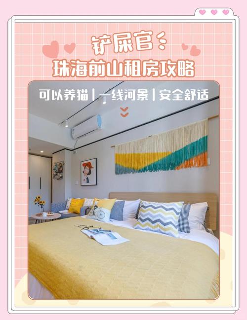 租房小房间怎么养猫