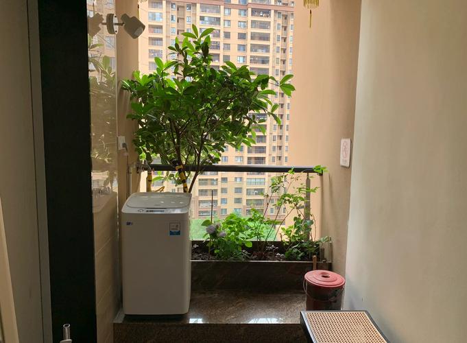 入户花园有必要吗