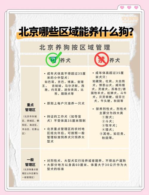 租房养狗怎么办