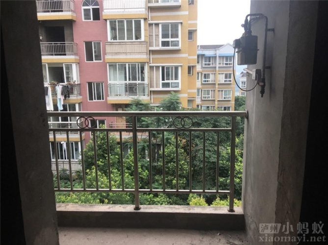 泸州江都花园在哪里