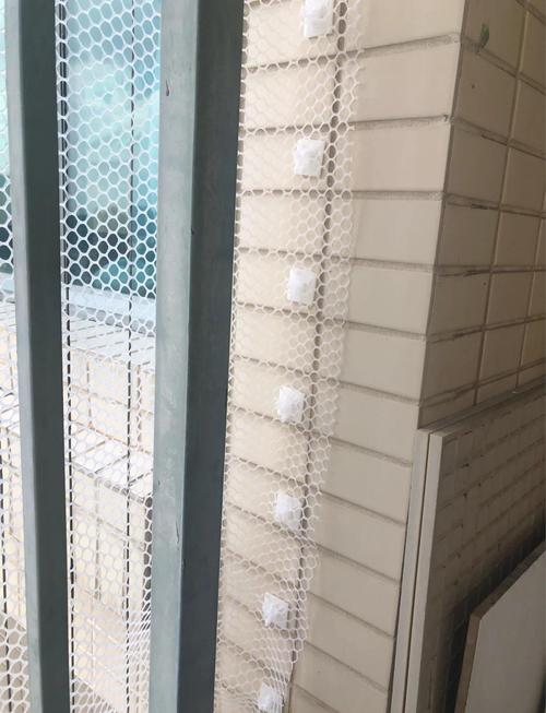 租房没封阳台怎么养猫