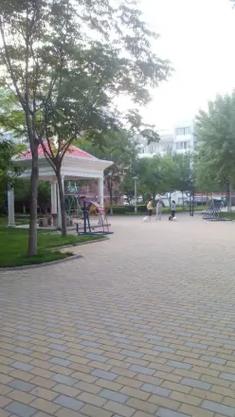 东营东城金鸿花园