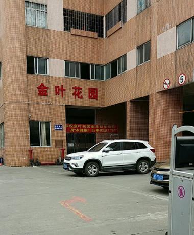 海口市金花园