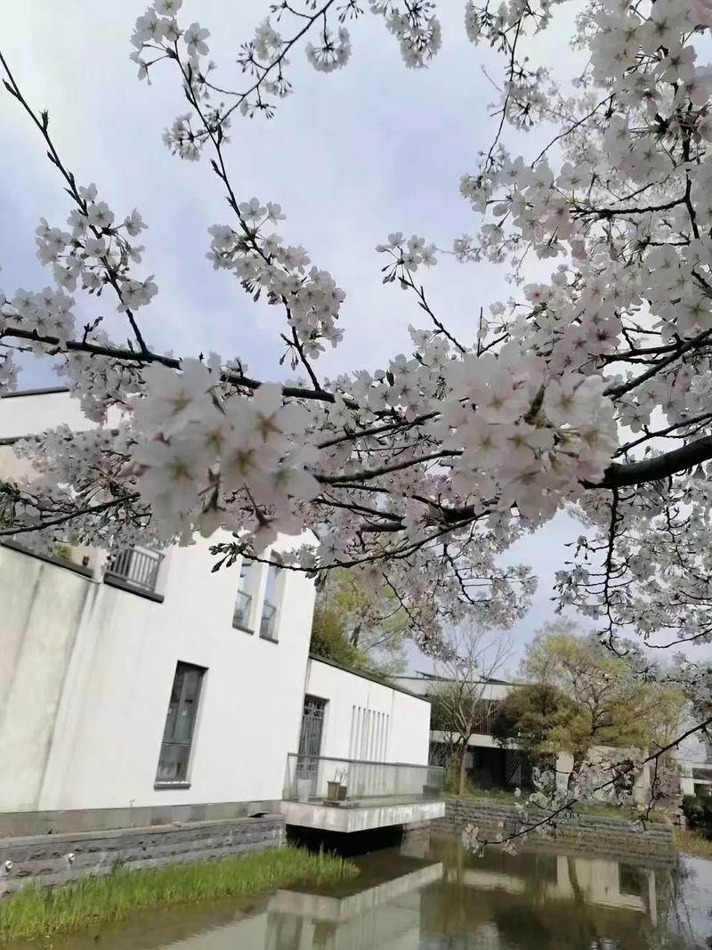 秀洲花园别墅