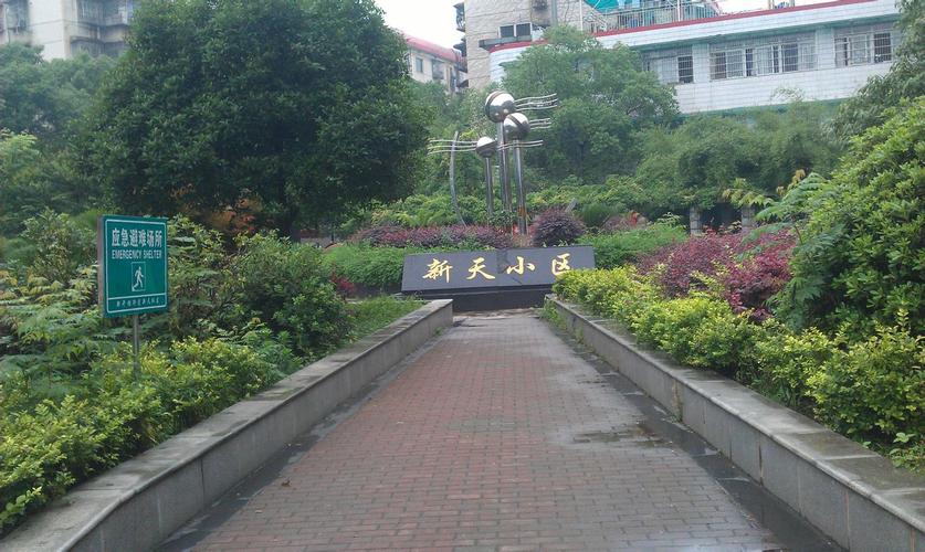 天等新楼盘