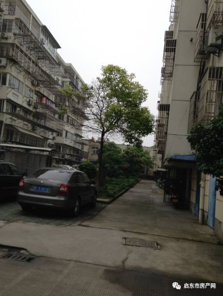 启东香格花园房价