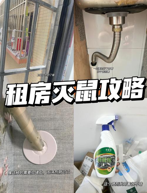 出租房怎么除老鼠