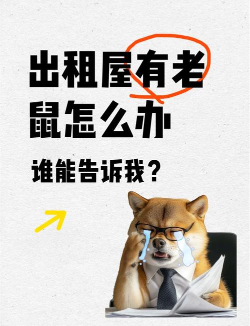 出租房怎么除老鼠