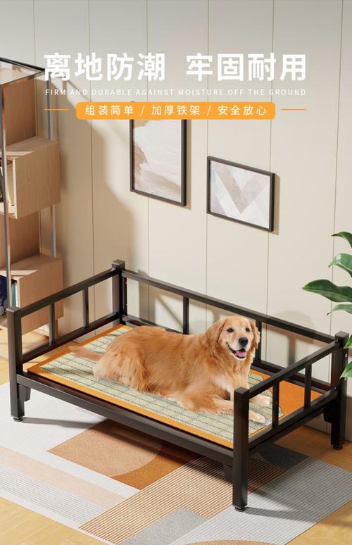 租房养狗怎么保护家具