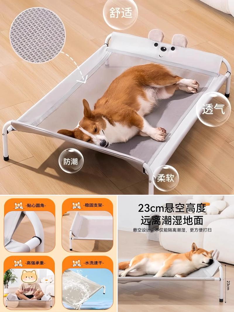 租房养狗怎么保护家具