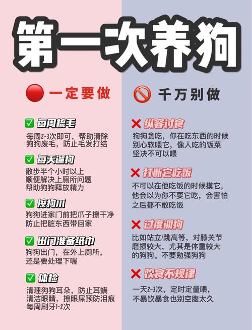 租房养狗怎么保护家具