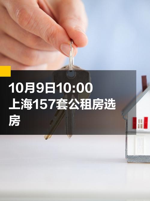 上海公租房怎么看