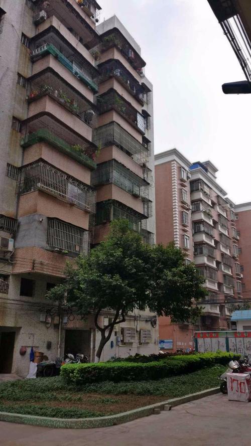 小强热线佛山紫薇花园