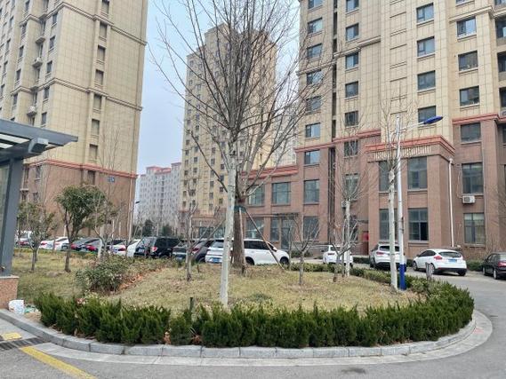 东营明佳花园倒闭