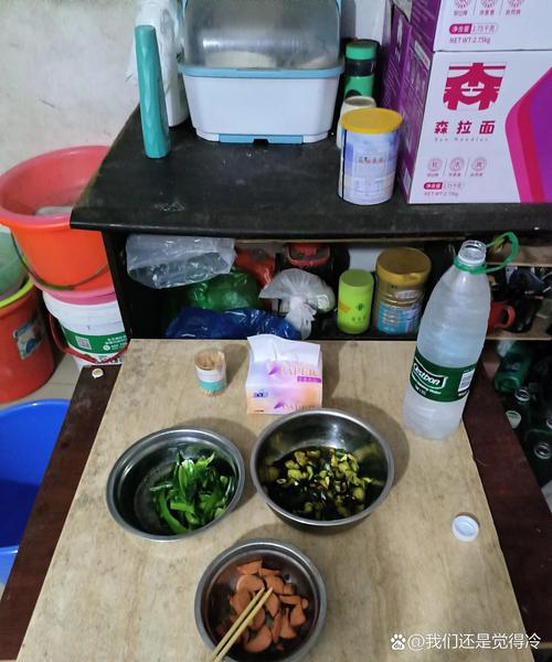 出租房怎么放菜