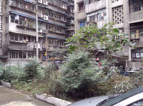 包家巷房价