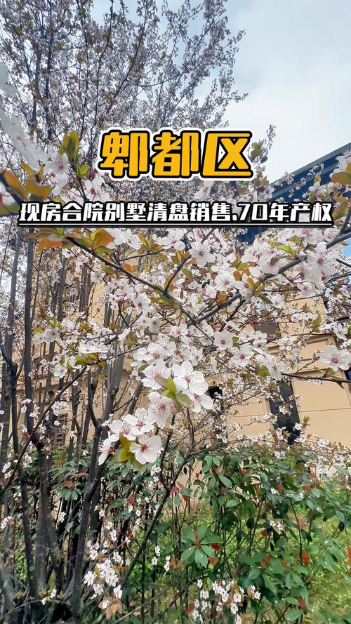 郫县楼盘现房在售楼盘