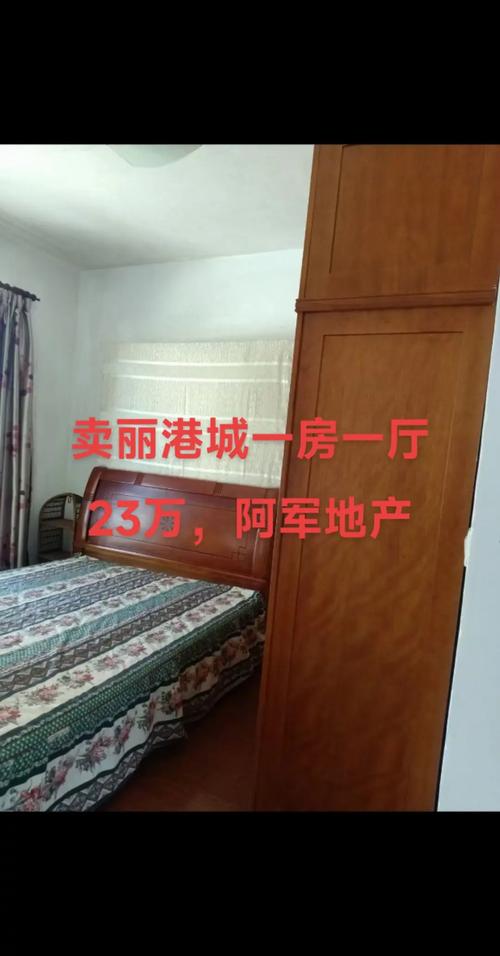 丽晶港房价