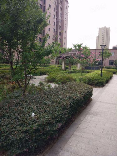 书香丽景房价