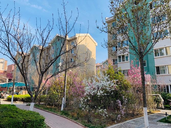 西安长庆湖滨花园论坛