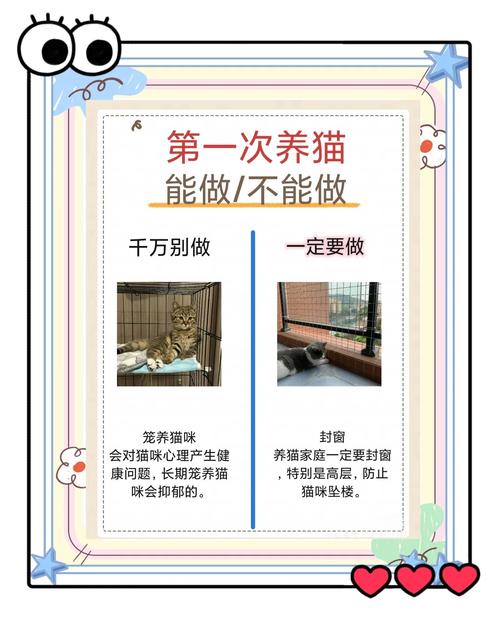 猫咪出租房怎么养