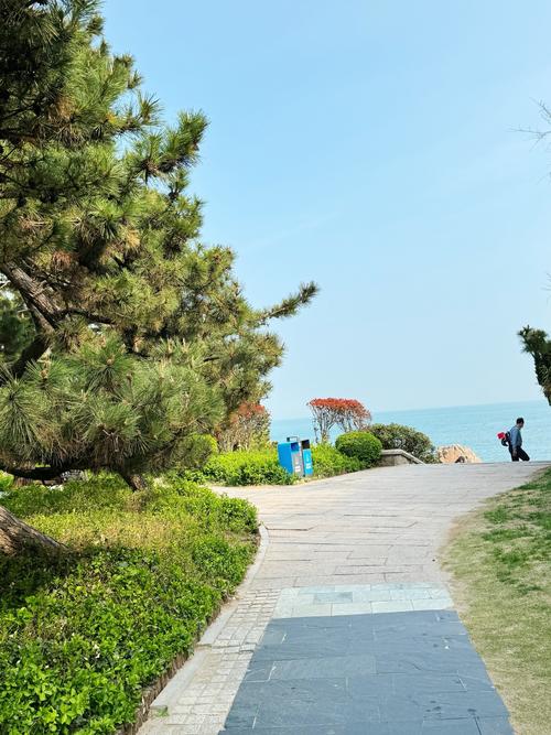青岛后花园在哪里