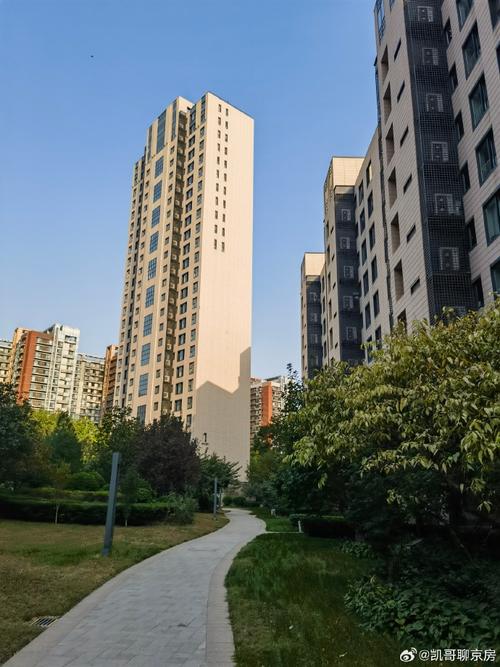 大通楼盘