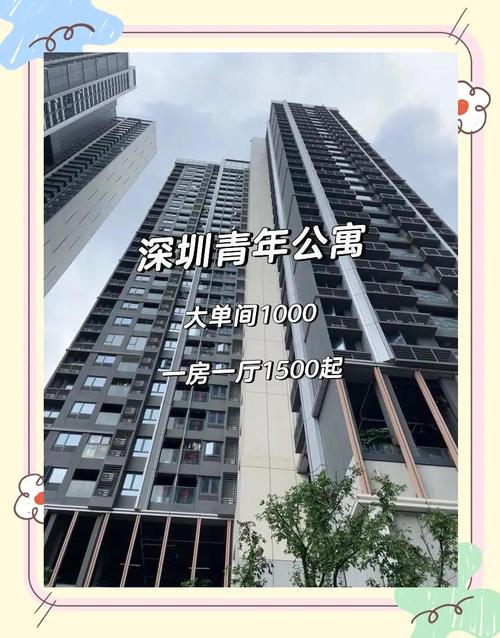 深圳龙岗公租房怎么排