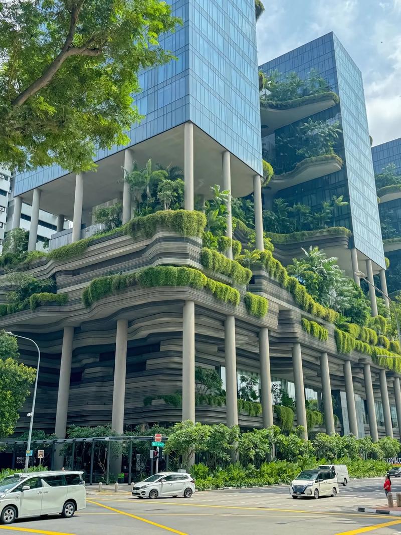 城市森林花园在哪里