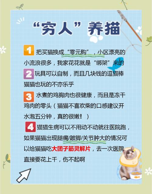 租房怎么和房东说养猫