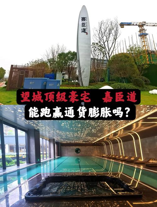 ceo楼盘