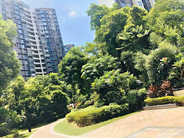 东莞凤岗楼盘新楼盘